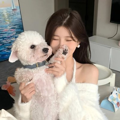 美国派2